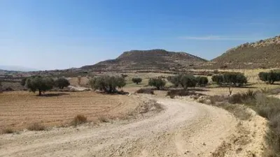 Terreno en venta en El Pinós - Pinoso - Más