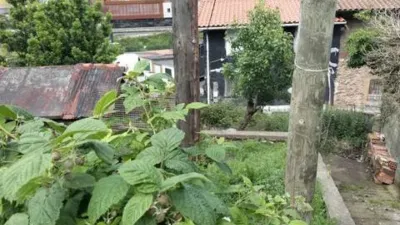 Rustic house in Ortuella photo 9