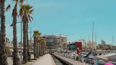 Piso en Centre-Port-Platja Llevant photo 28