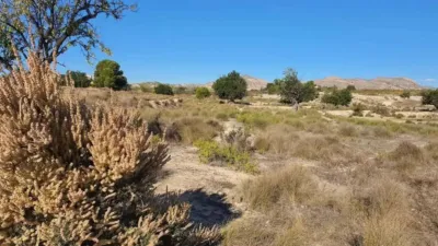 Terreno en venta en El Rebolledo - Más