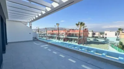 Apartment in Algorfa photo 20