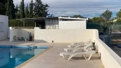 Pis – Crevillent, el Baix Vinalopó - Vista 4