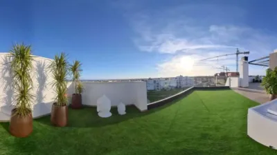 Pis – Torrevieja - Vista 2