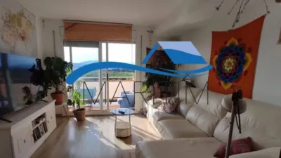 Apartment in Els Pins photo 3