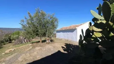 Chalet in El Gastor photo 45