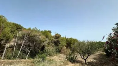 Terreno en venta en La Fustera - Vista 4