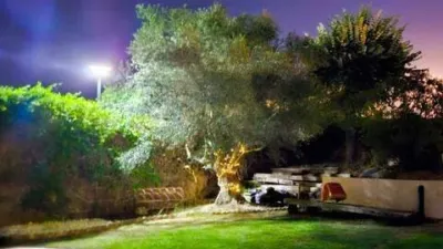 Chalet for sale in Calle de la Mensajera photo 24