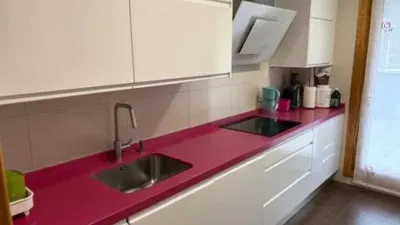 Penthouse in Valle de Trapagaran photo 12