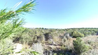 Terreno en venta en Carretera a Elche - Más