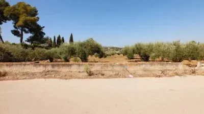 Terreno en venta en los Cerezos-La Mandarina-La Finca-Covatelles - Vista 2
