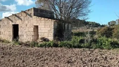 Rustic house in Muro photo 4