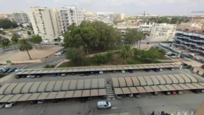 Apartment in Platja Muchavista photo 29