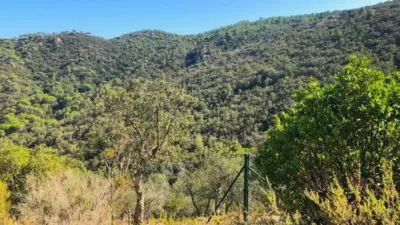 Chalet in Santa Cristina d'Aro photo 30