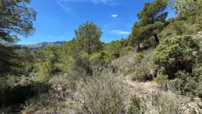 Terreno en venta en Llíber - Vista 4
