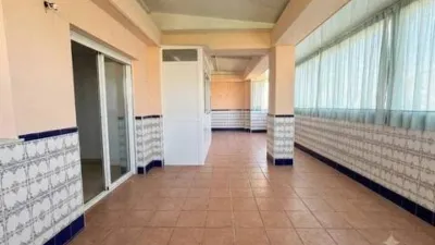 Penthouse in Florida-Ciudad de Asís photo 6