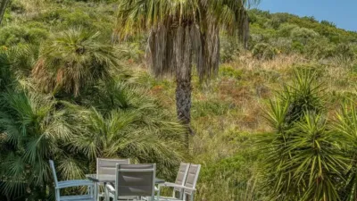 Chalet in Marina Manresa-Mal Pas-Bonaire photo 43