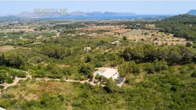 Chalet in Marina Manresa-Mal Pas-Bonaire photo 64