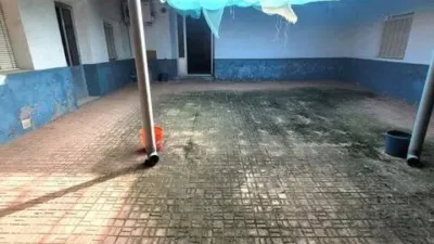 Miniatura 7