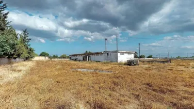Rustic house in Son Sardina photo 36