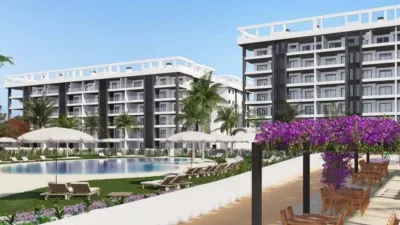 Pis – Torrevieja - Vista 2