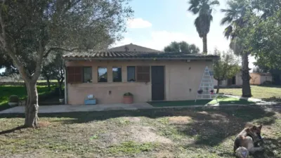 Rustic house in Felanitx photo 11