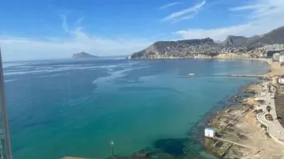 Apartment in Playa del Arenal Bol-Playa del Cantal Roig photo 16
