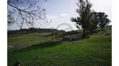 Chalet in Algodonales photo 3
