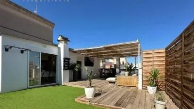 Pis – Elx - Elche - Vista 3