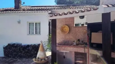 Piso – Sax, La Estación, l'Alt Vinalopó / El Alto Vinalopó - Vista 4