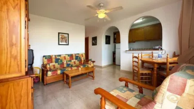 Casa – San Miguel de Salinas - Vista 3