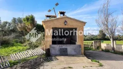 Rustic property in Santa Margalida photo 37