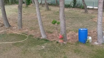 Chalet in Albacete Capital photo 15