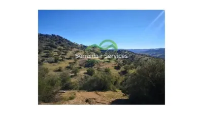 Rustic house in El Gastor photo 9