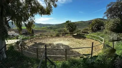 Rustic property in Almogía photo 39