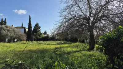 Chalet in Conil de la Frontera photo 4