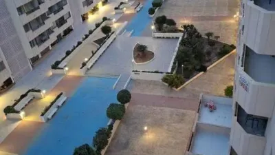 Apartment on Avinguda Juan Carlos I photo 23