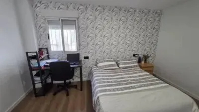 Apartment on Alcalde Felipe Mallol photo 10