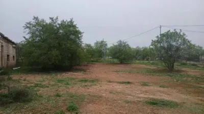 Terreno en venta en Calle Poligono 5 Parcela 253 No Number - Vista 5