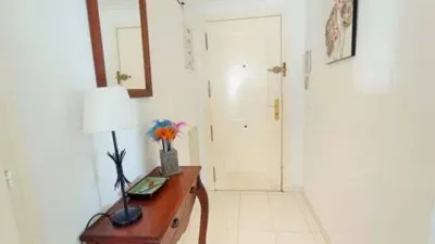 Apartment on Avinguda Juan Carlos I photo 20