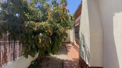 Chalet in Chiclana de la Frontera photo 28