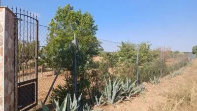Chalet on Sector El Bano Street, Poligono 2 Plot 115 No Number photo 17