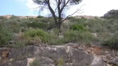 Terreno en venta en Carrer Amapolas - Vista 4