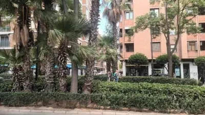 Apartment in Avinguda al Vedat Area photo 26