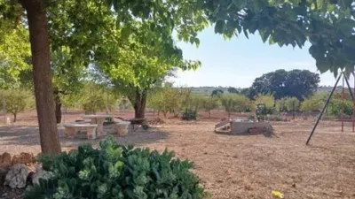 Chalet on Sector El Bano Street, Poligono 2 Plot 115 No Number photo 11