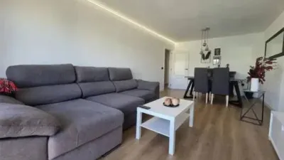 Apartment on Alcalde Felipe Mallol photo 4
