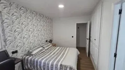Apartment on Alcalde Felipe Mallol photo 9