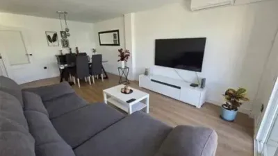Apartment on Alcalde Felipe Mallol photo 5