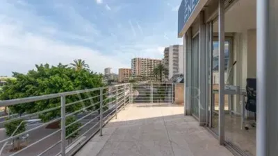 Duplex Apartment in La Bonanova-Porto Pi photo 22