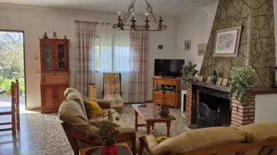 Chalet in Conil de la Frontera photo 8