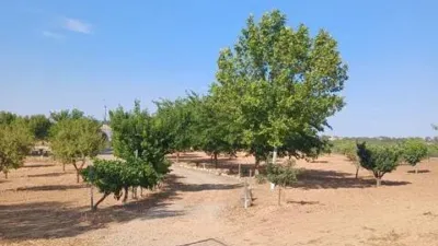 Chalet on Sector El Bano Street, Poligono 2 Plot 115 No Number photo 23